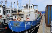 M/V